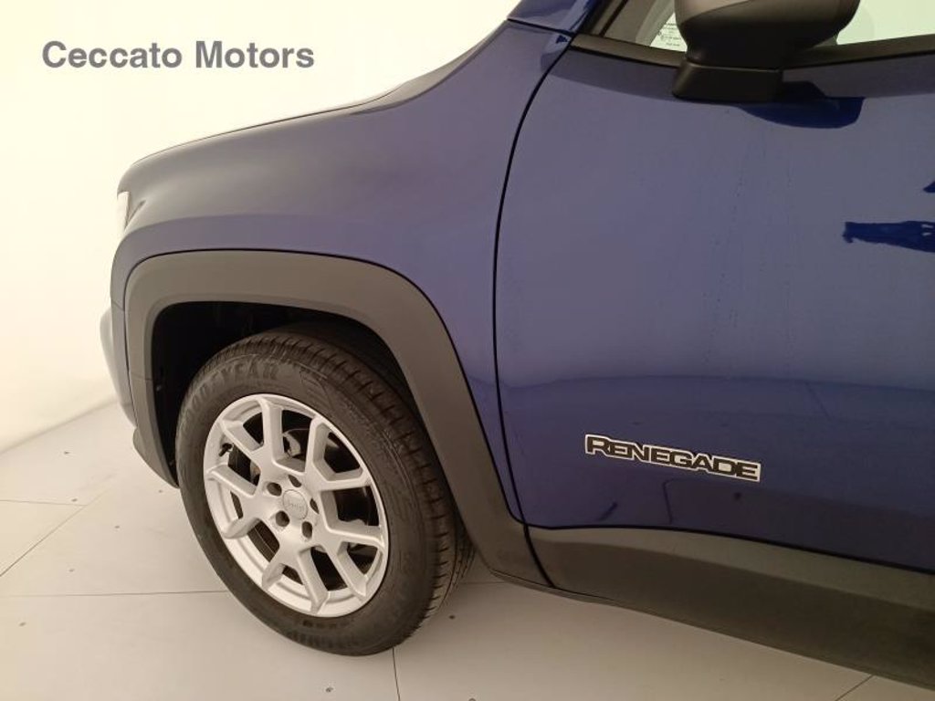 JEEP Renegade 1.6 mjt business 2wd 130cv